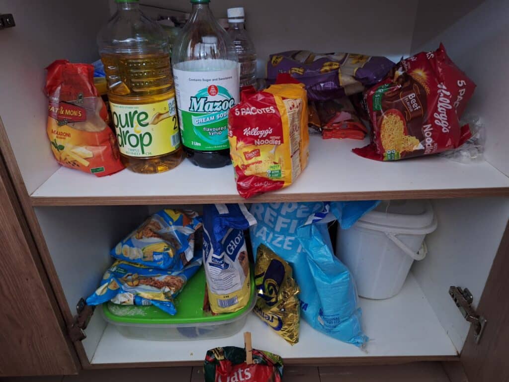 Qualitative consumer insights in Africa: pantry checks during in-home visits